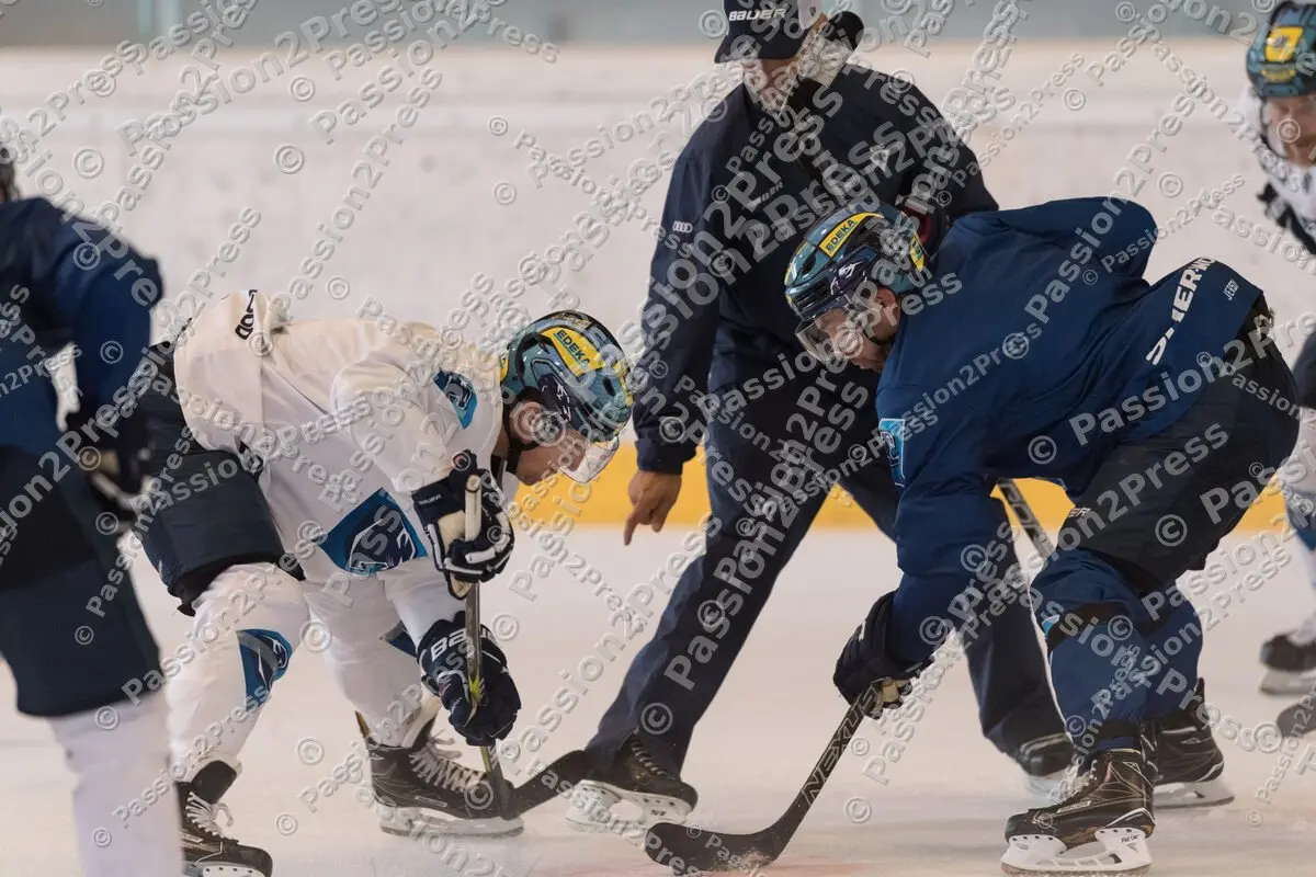 mf_ERCI_20170831_0308