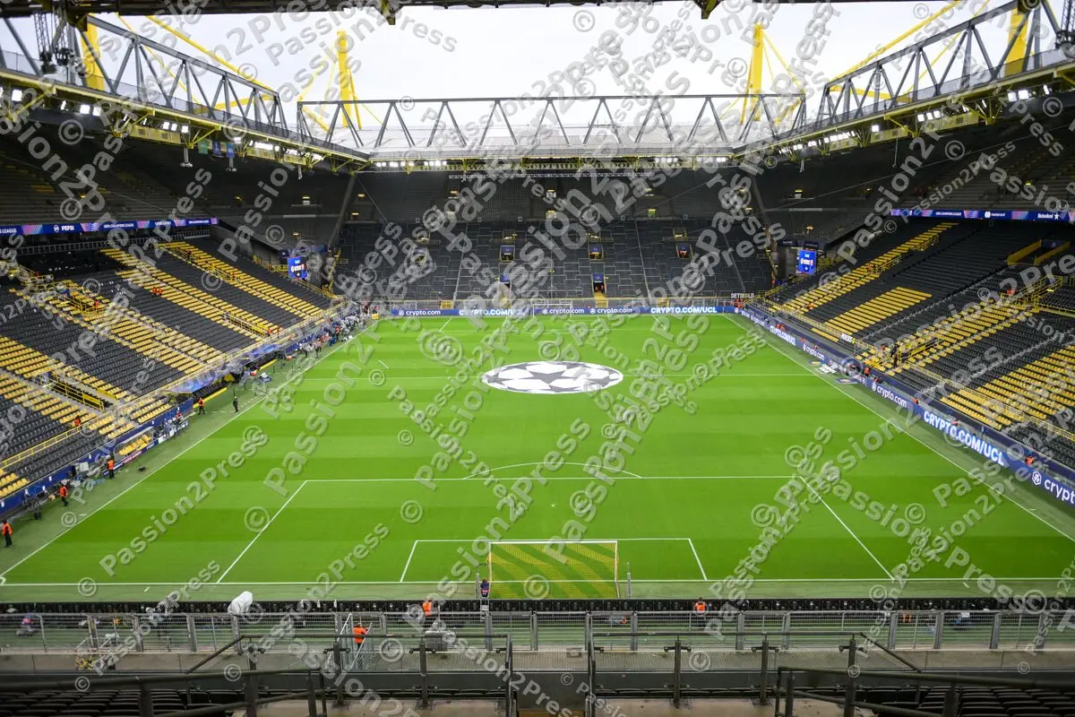 BVBFCB_20250415_0063