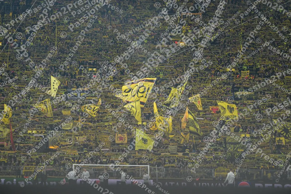 BVBFCB_20250415_0949