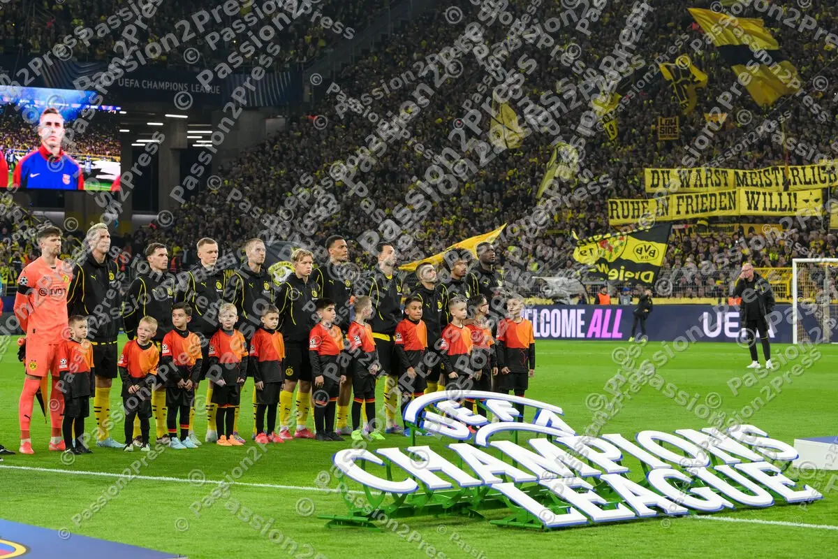 BVBFCB_20250415_1038
