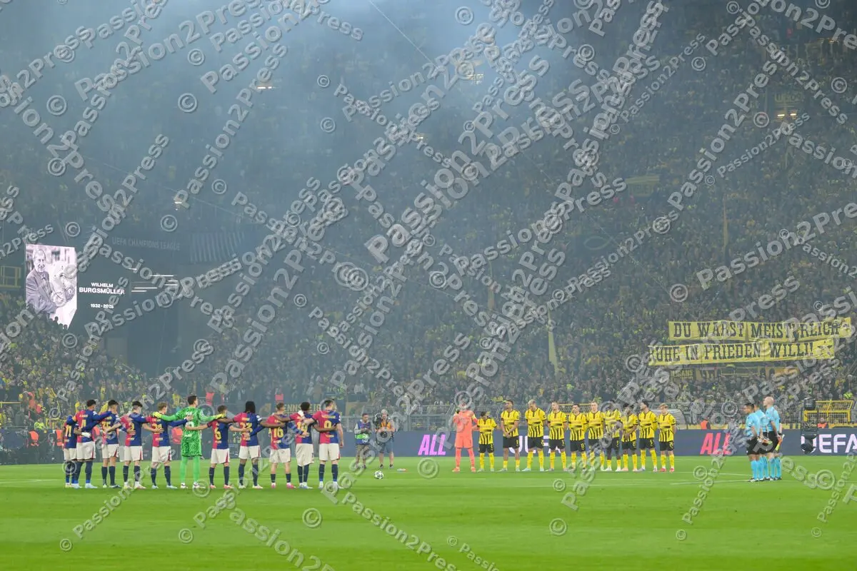 BVBFCB_20250415_1103