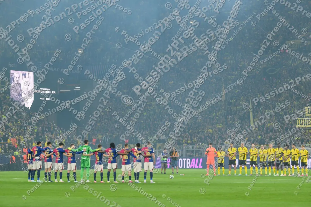 BVBFCB_20250415_1120