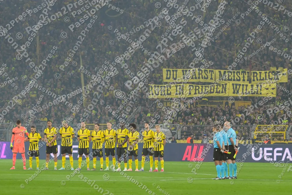 BVBFCB_20250415_1146