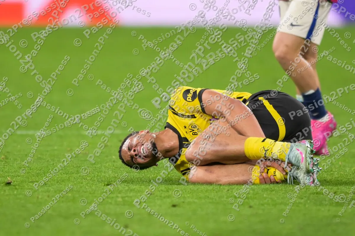 BVBFCB_20250415_2183