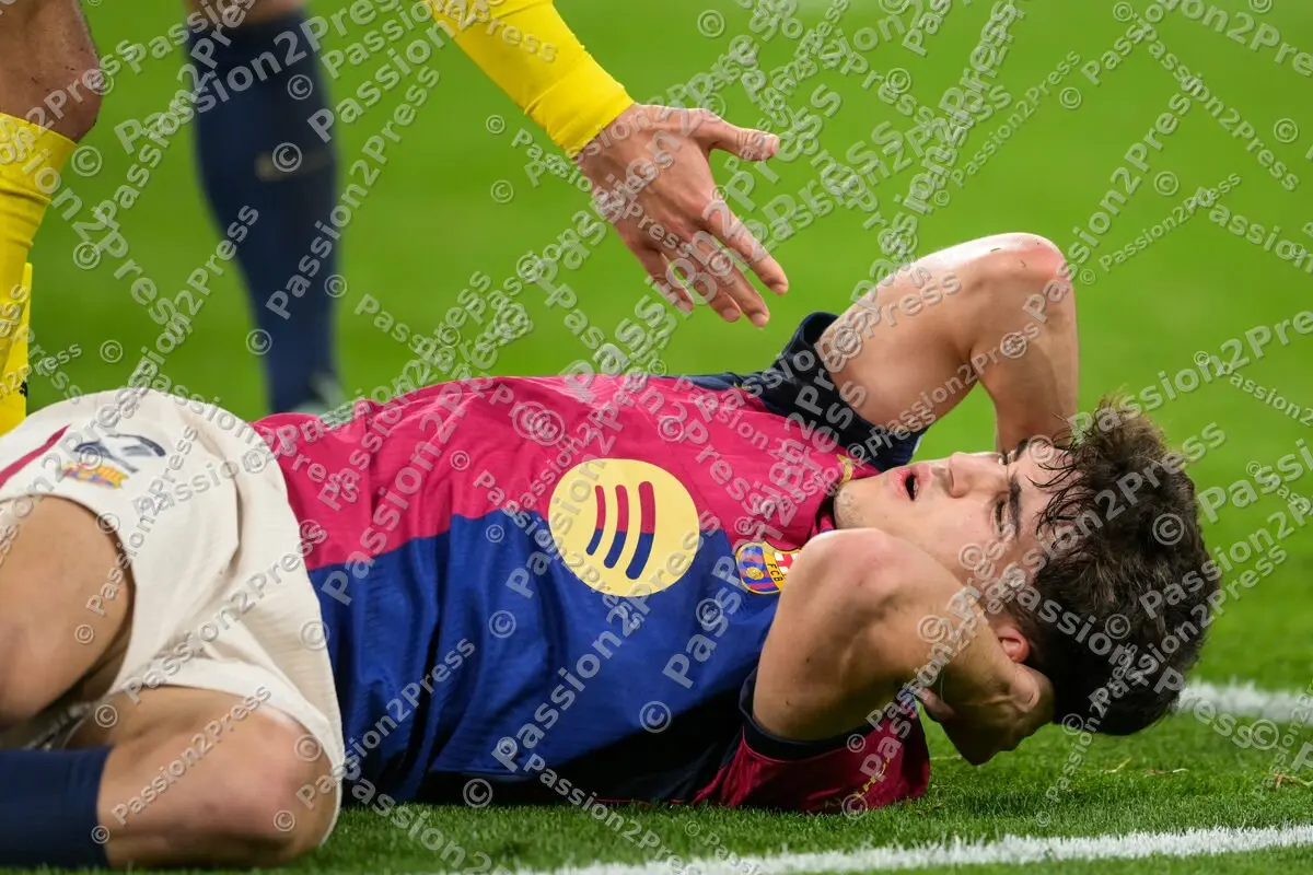 BVBFCB_20250415_2379