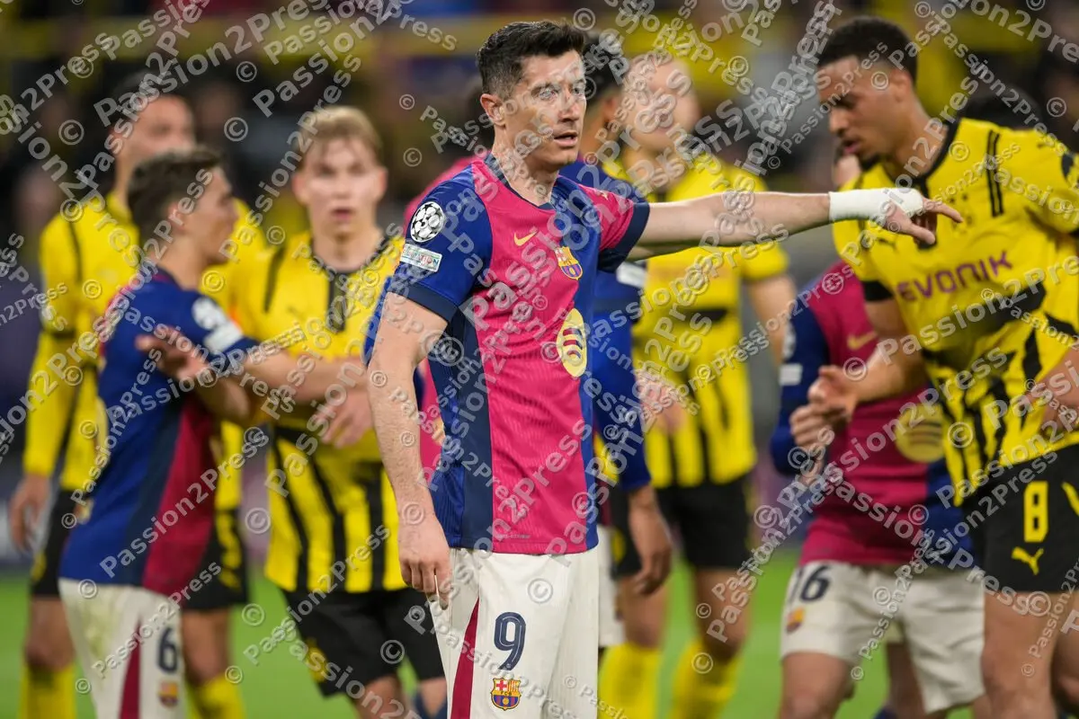 BVBFCB_20250415_2395