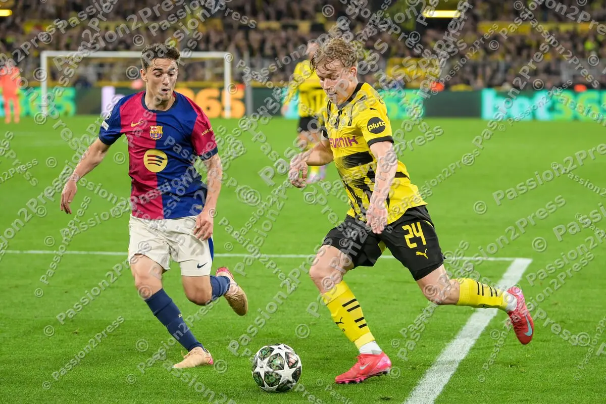 BVBFCB_20250415_2501