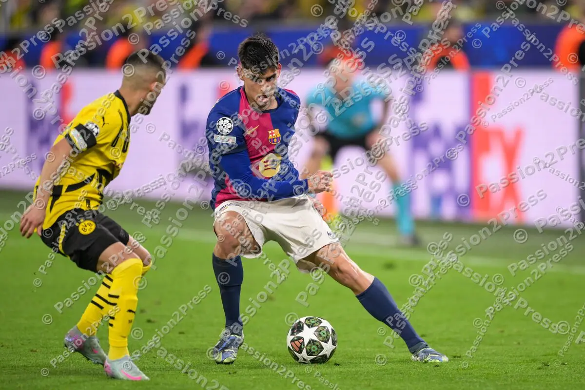 BVBFCB_20250415_2598