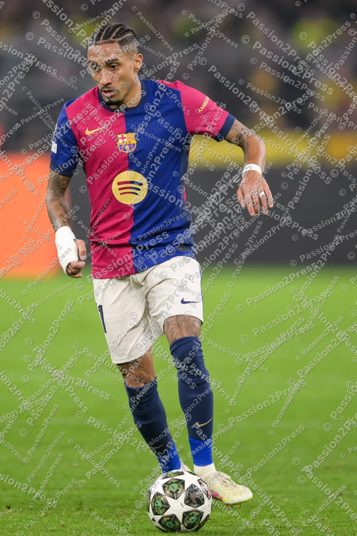 BVBFCB_20250415_2803