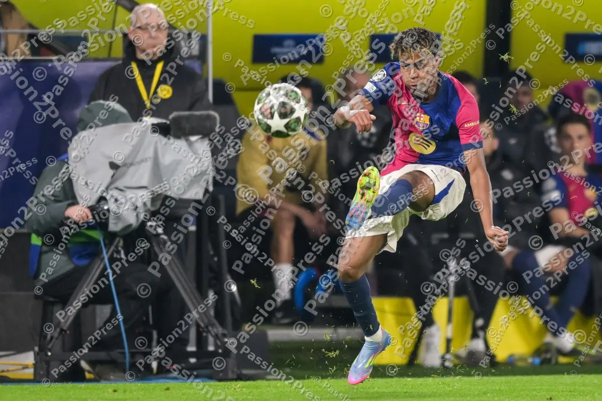 BVBFCB_20250415_2858