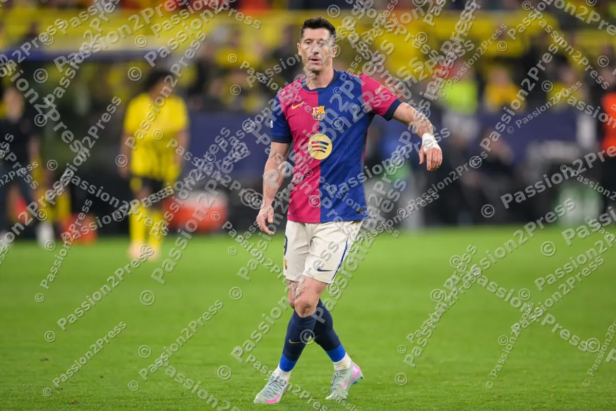 BVBFCB_20250415_2882