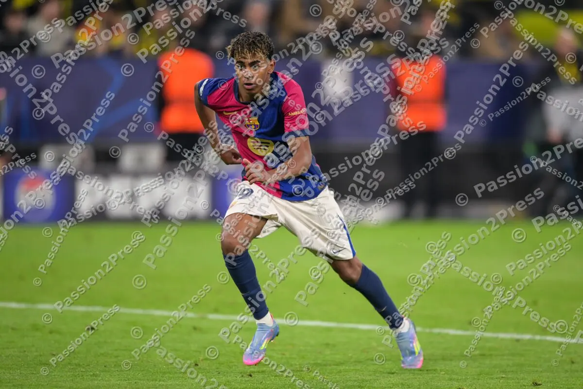 BVBFCB_20250415_2893