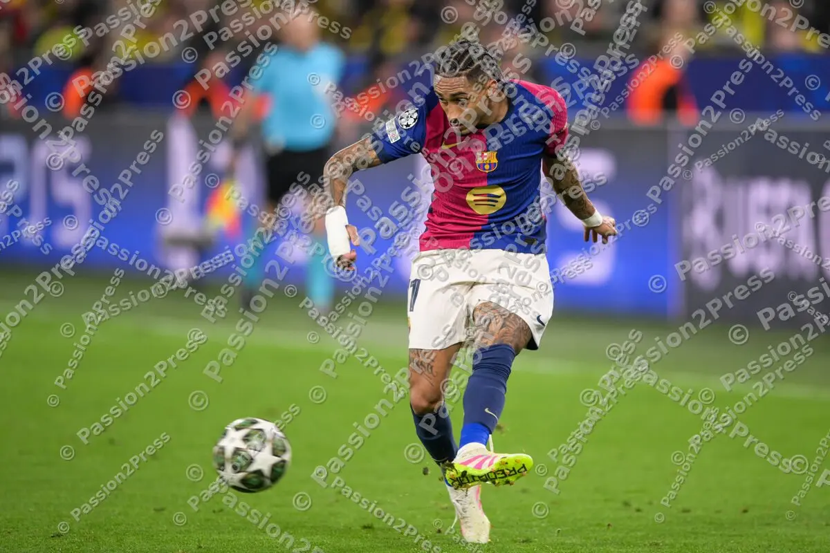 BVBFCB_20250415_2946