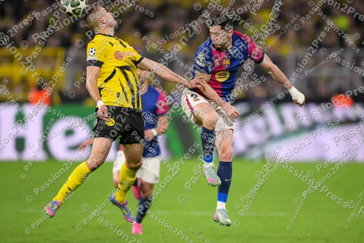 BVBFCB_20250415_3195