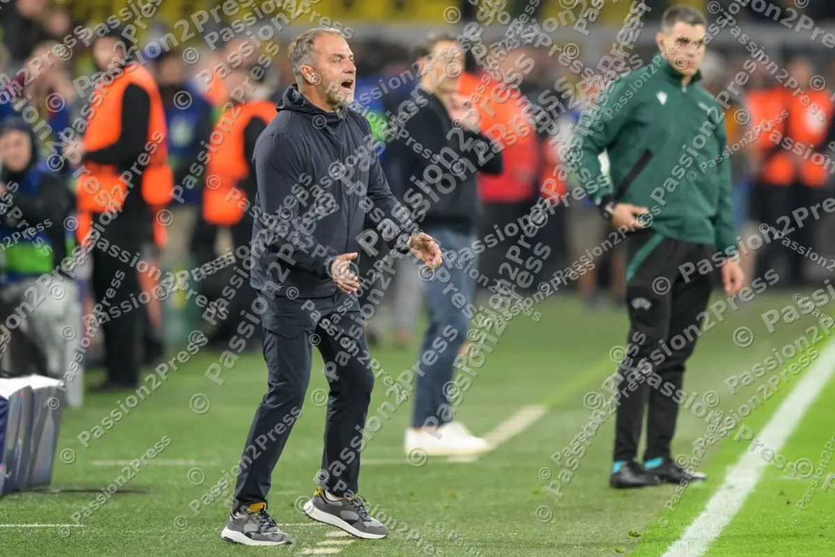 BVBFCB_20250415_3417