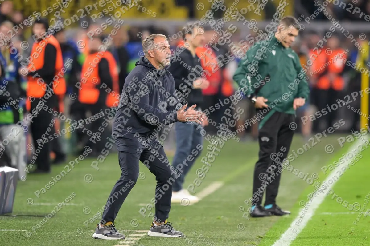 BVBFCB_20250415_3427