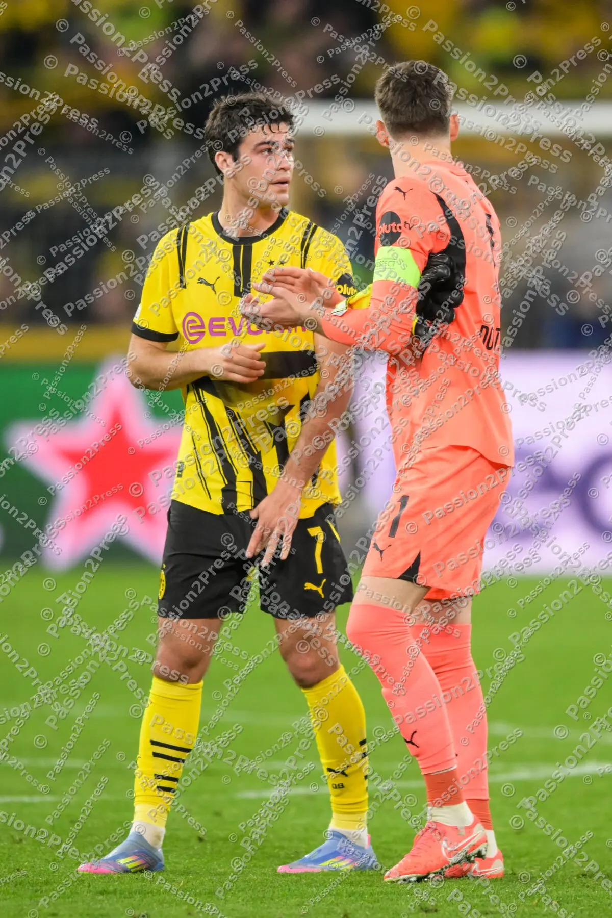 BVBFCB_20250415_3774