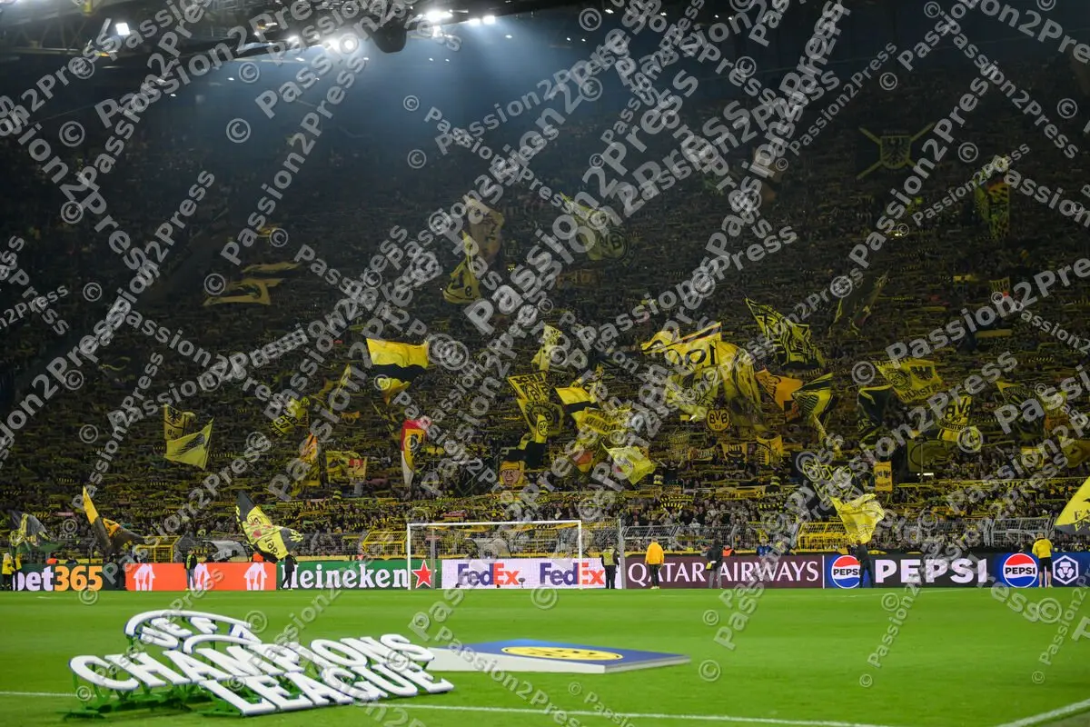 BVBFCB_20250415_3944