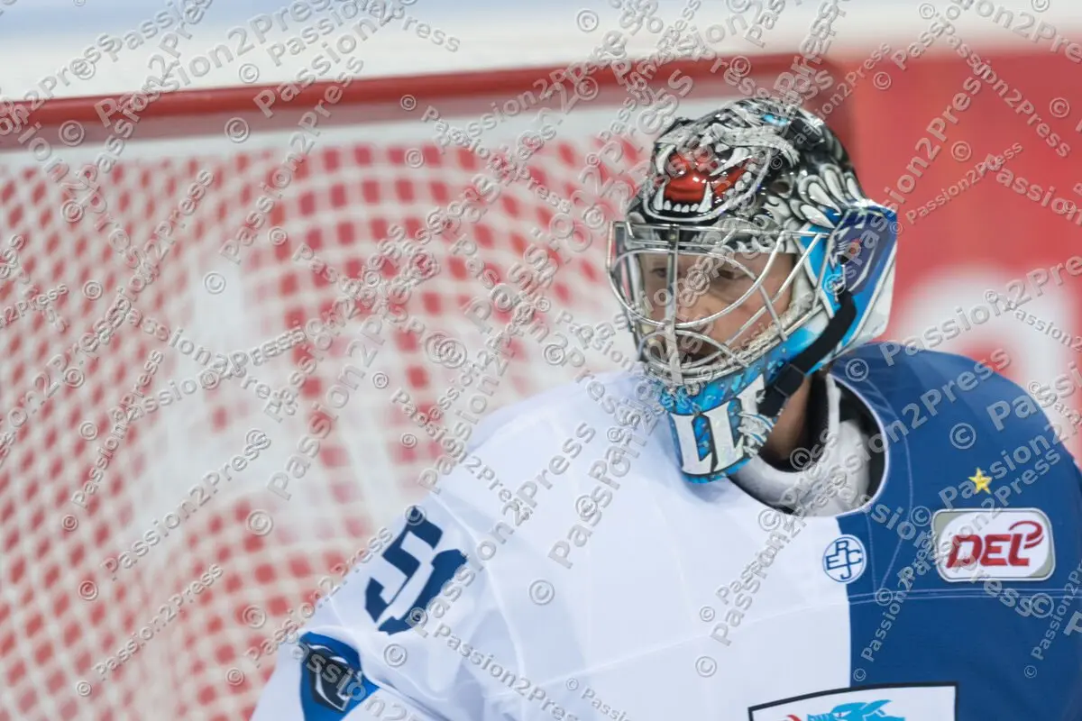 mf_ERCISR_20170908_0009