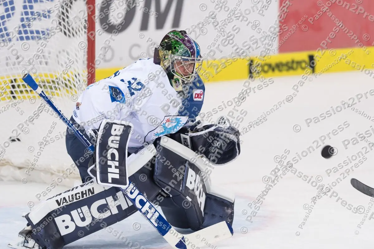 mf_ERCISR_20170908_0079