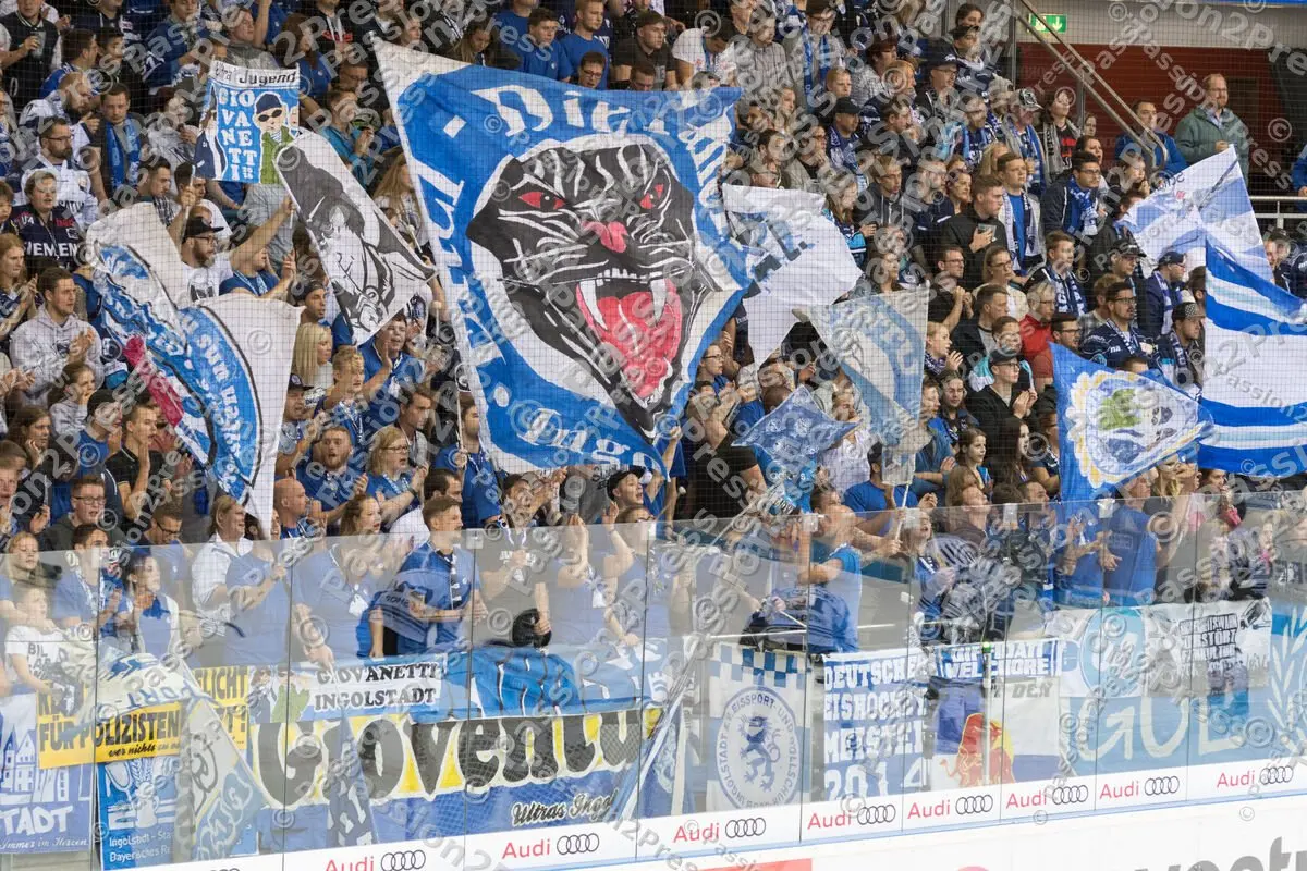 mf_ERCISR_20170908_0309