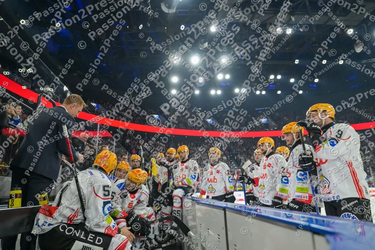 RBMBHV_20250914_0895