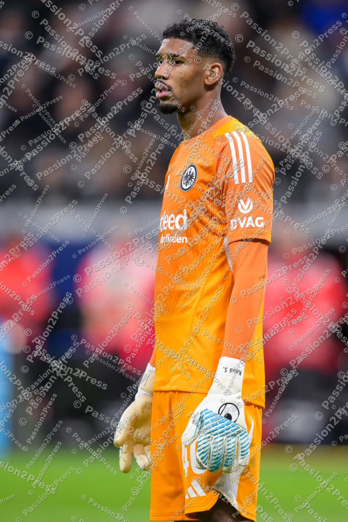 SGEFCB_20251004_2219