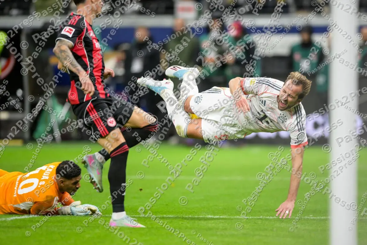 SGEFCB_20251004_2833