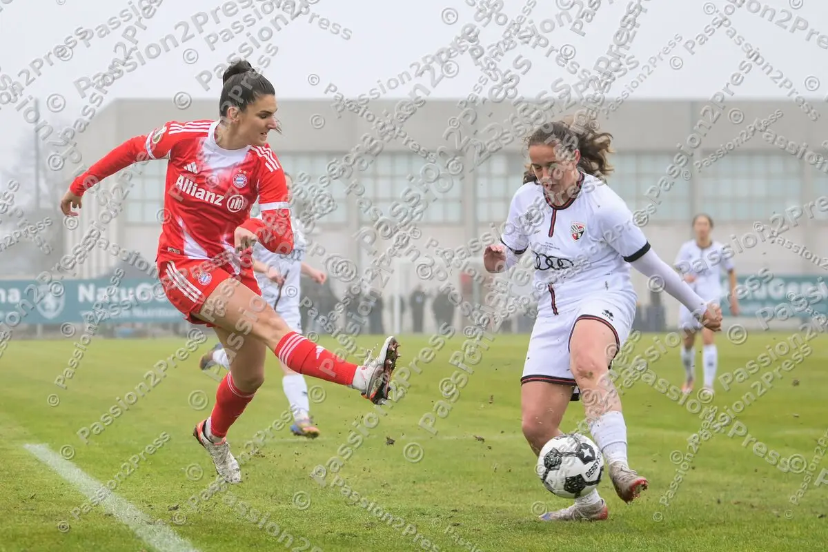 FCIFCBF_20251116_1972