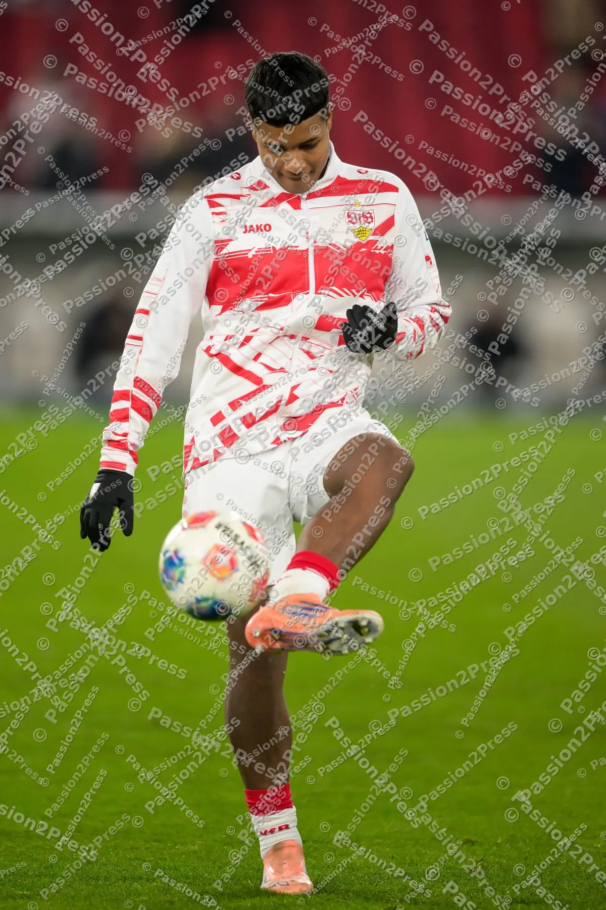 VfBSGE_20260113_0483