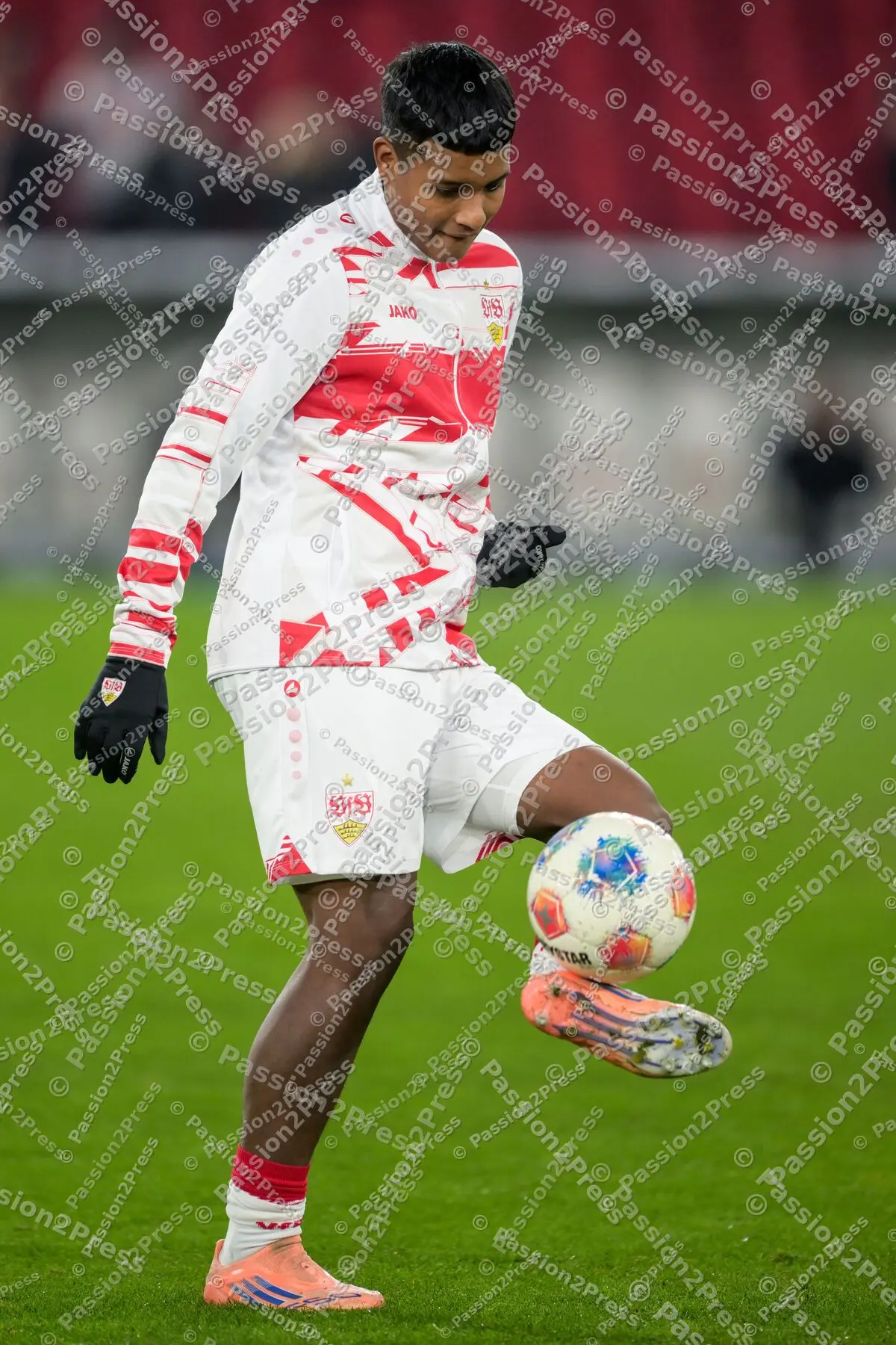 VfBSGE_20260113_0466