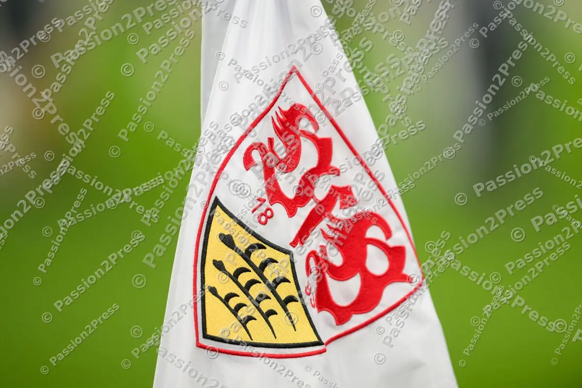 VfBYBB_20260129_0300