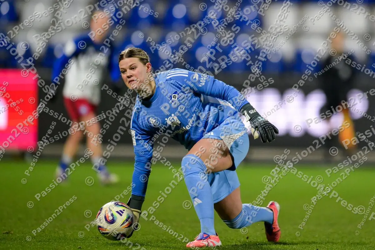 TSGFHSV_20260215_0598