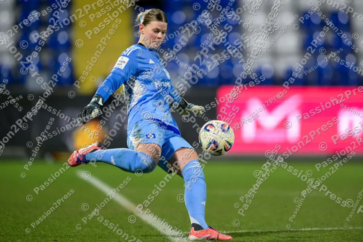 TSGFHSV_20260215_0647