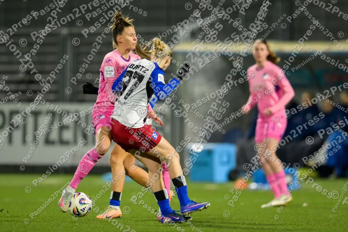 TSGFHSV_20260215_0466