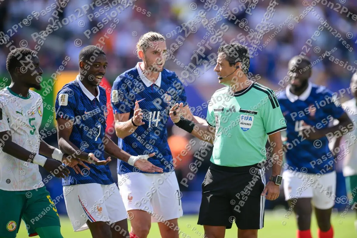 FRASEN_20260616_5918