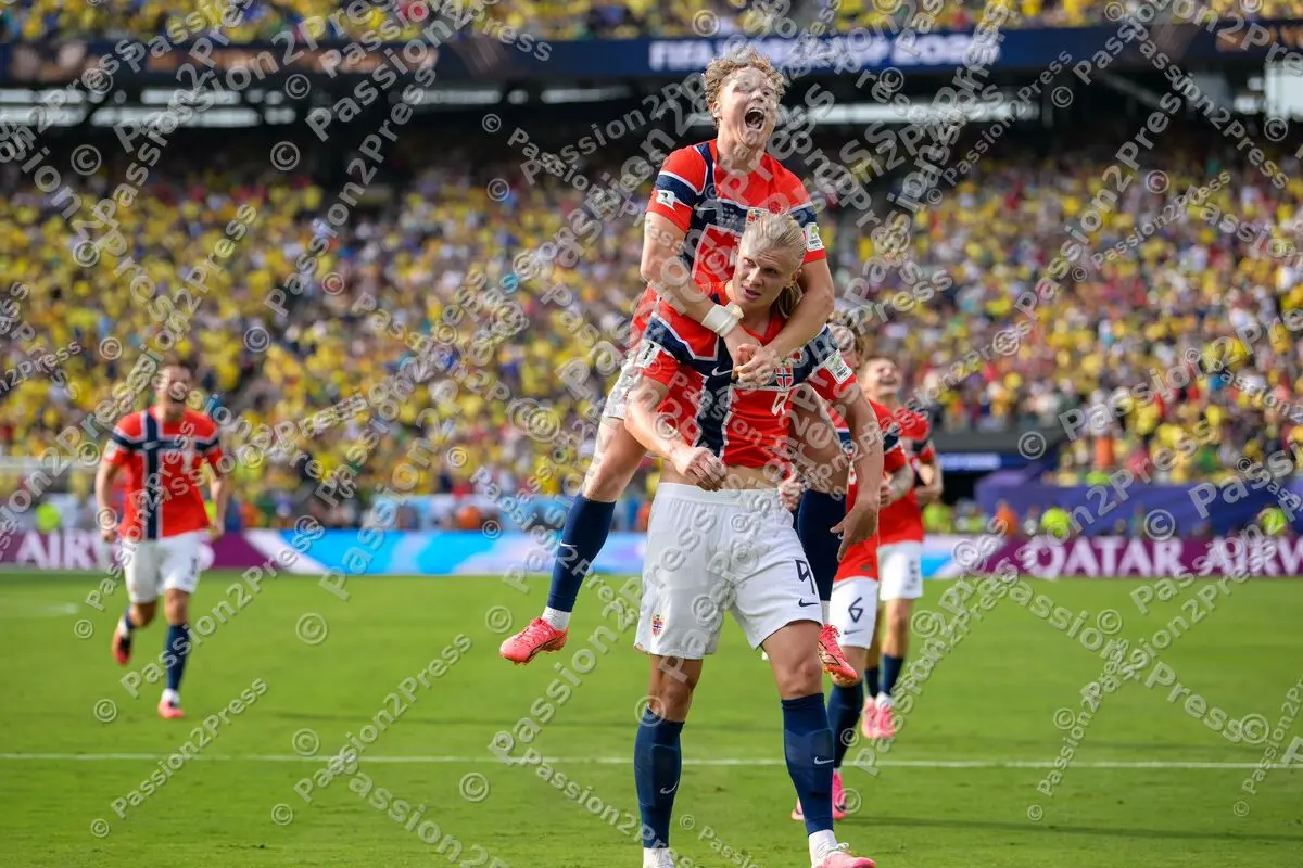 BRANOR_20260705_6584