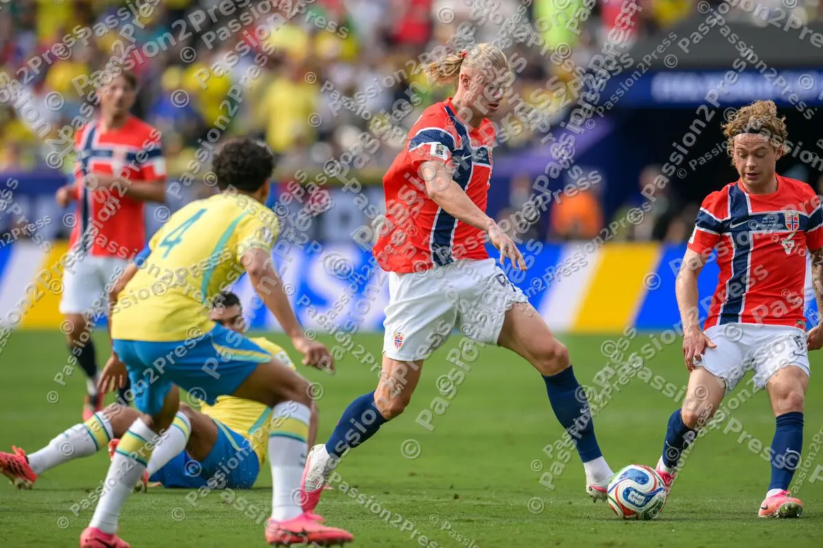 BRANOR_20260705_4537