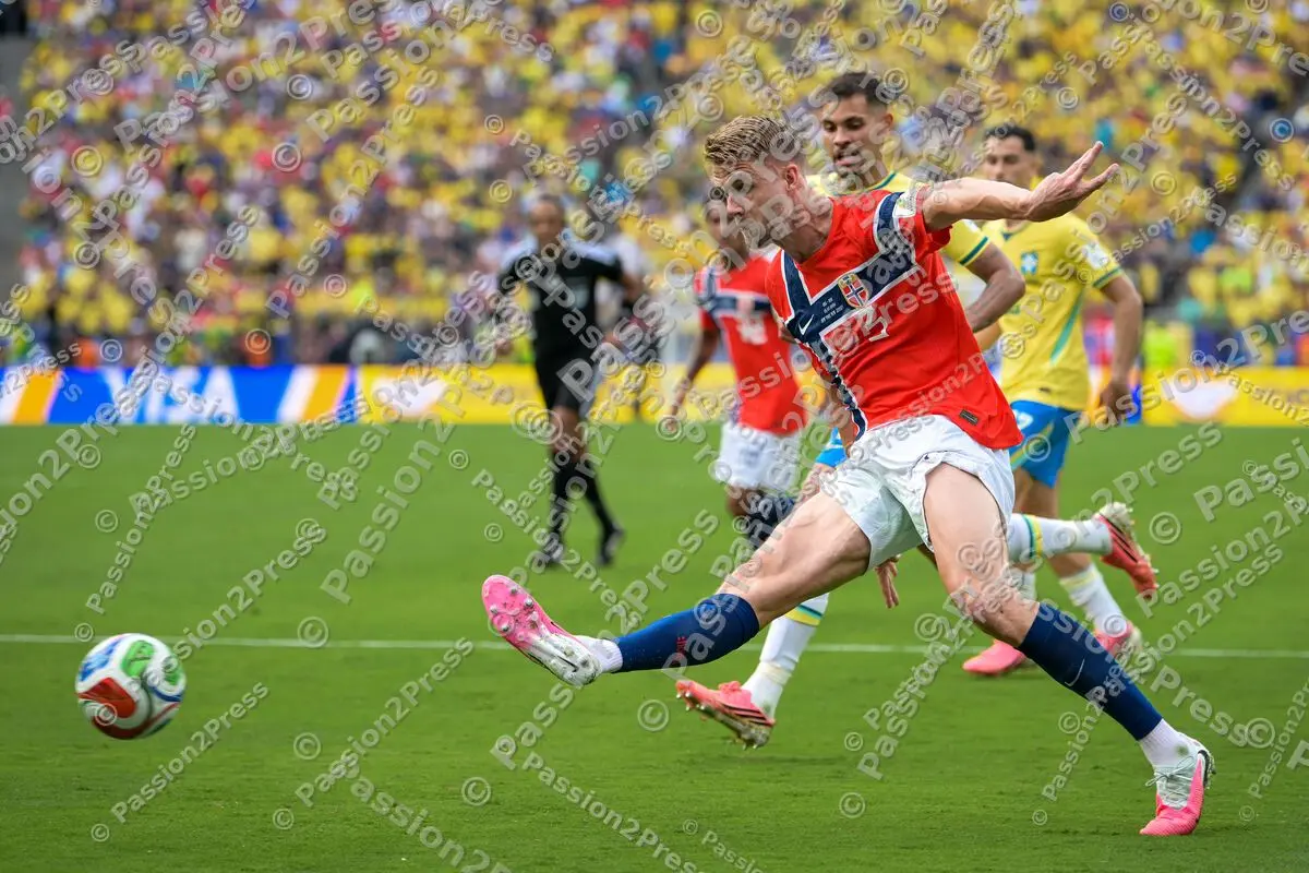 BRANOR_20260705_5195
