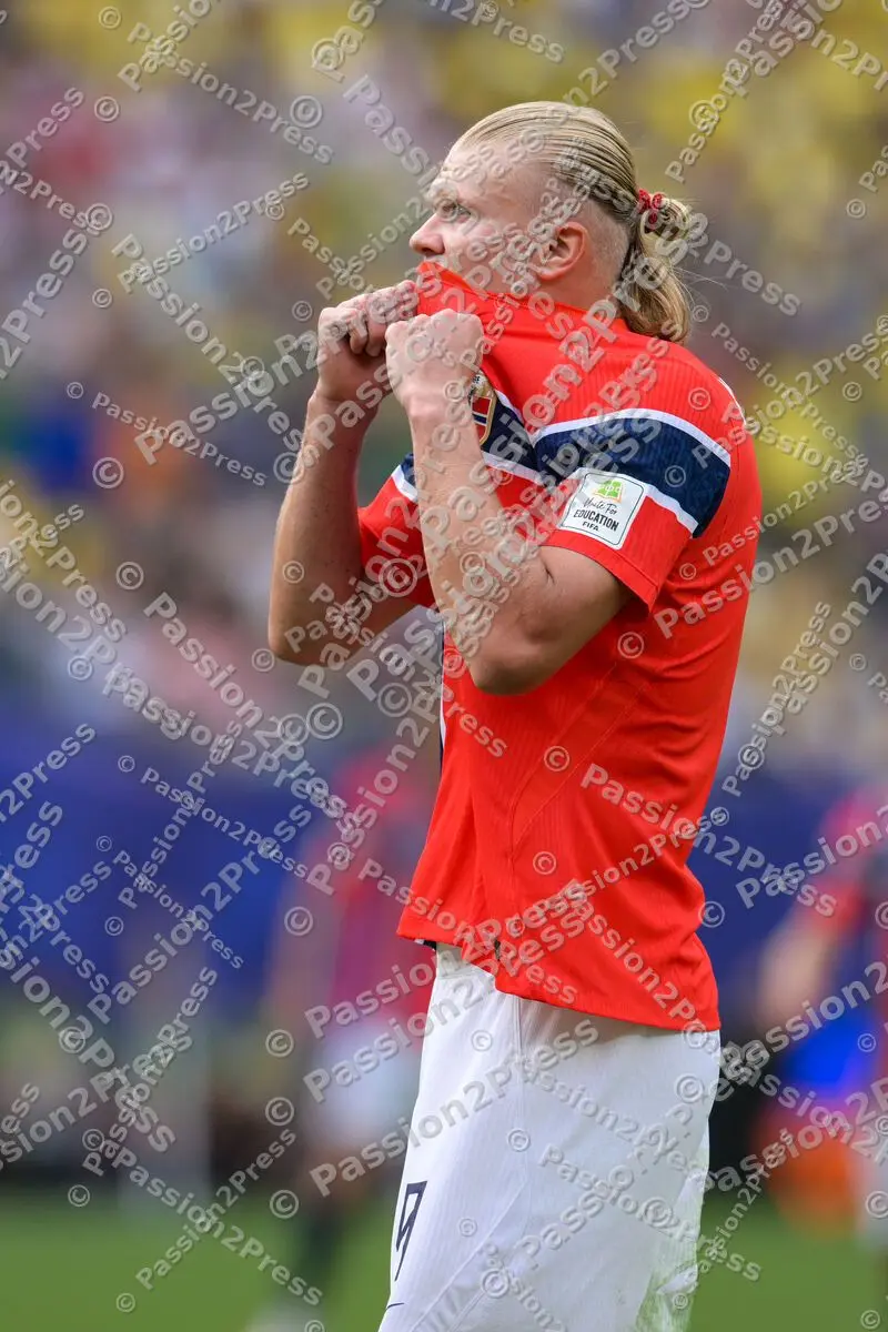 BRANOR_20260705_4959