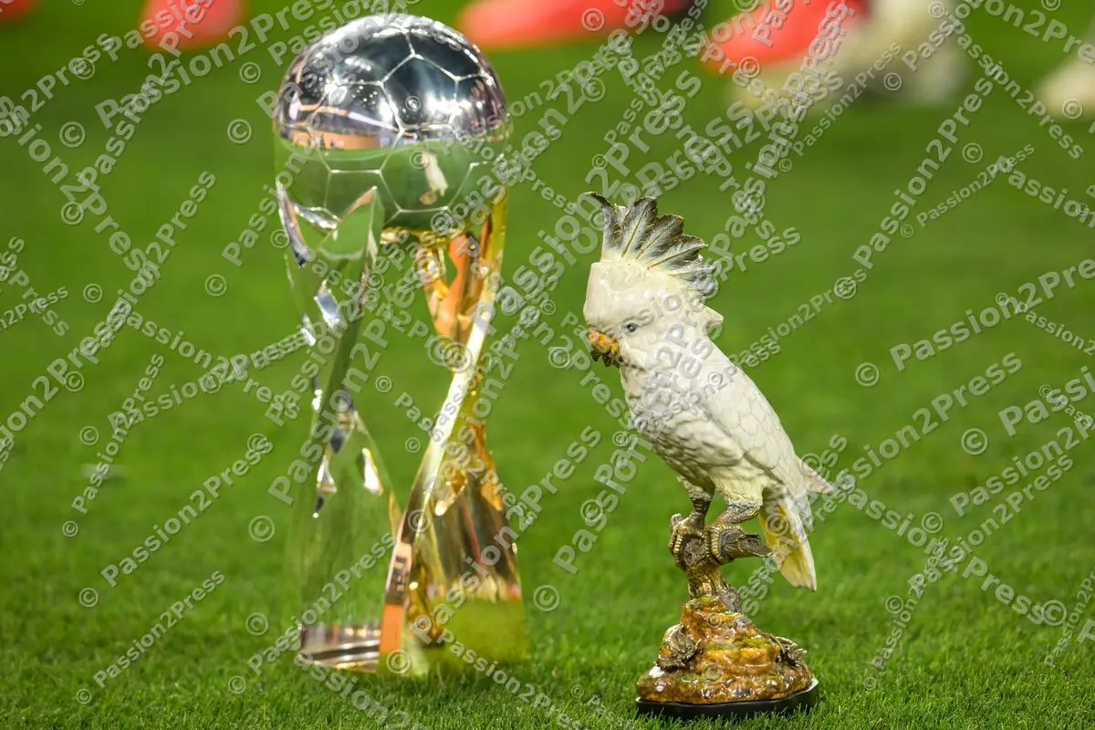 BvBFCB_20260822_3311