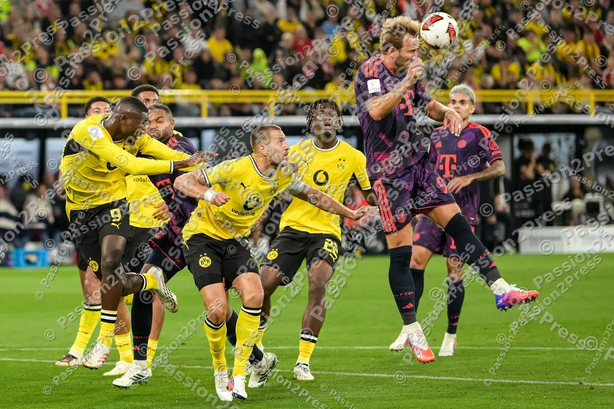 BvBFCB_20260822_1288