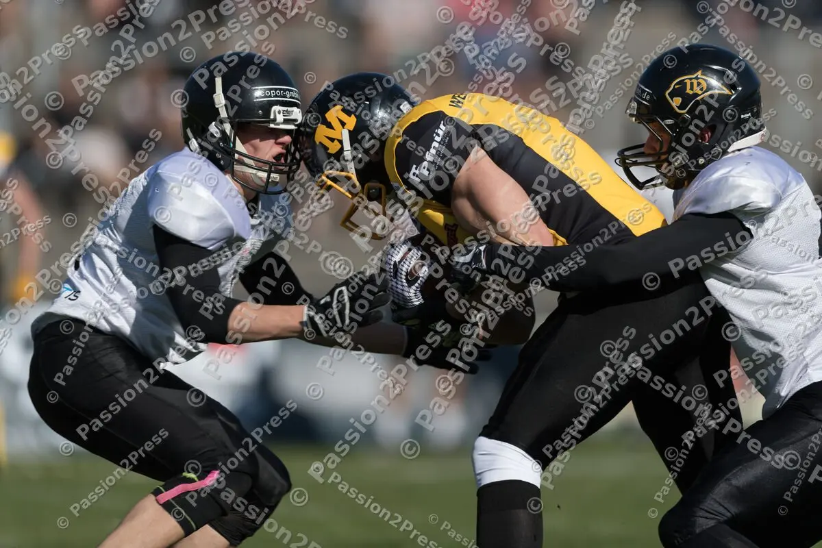 mf_MCWP_20180407_0323