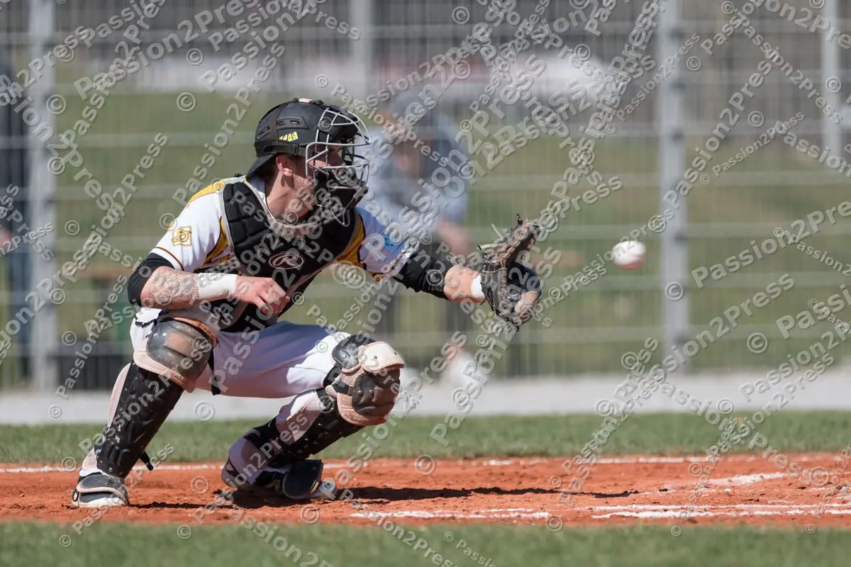 mf_HDSH_20180407_0190