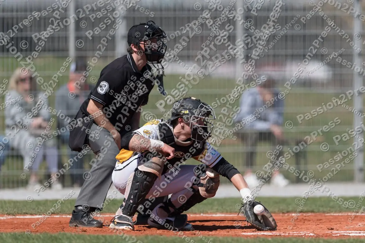 mf_HDSH_20180407_0193