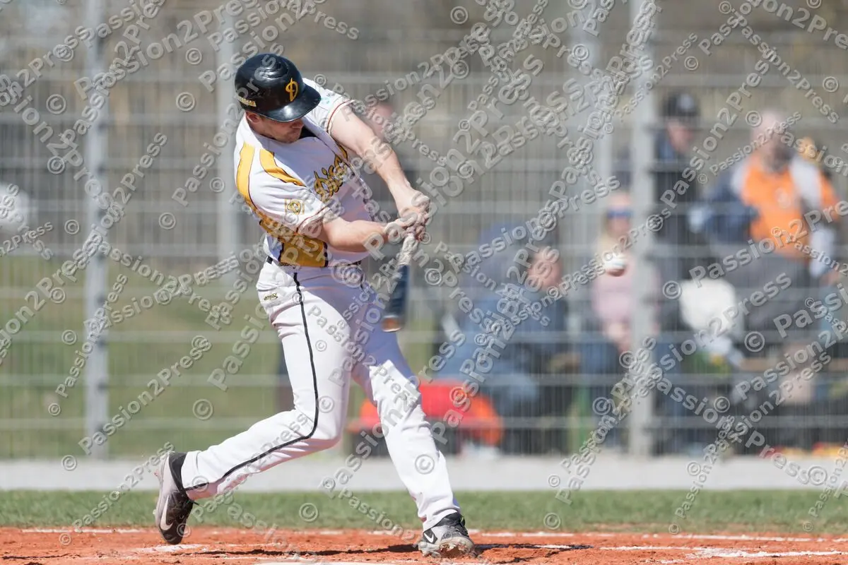 mf_HDSH_20180407_0213