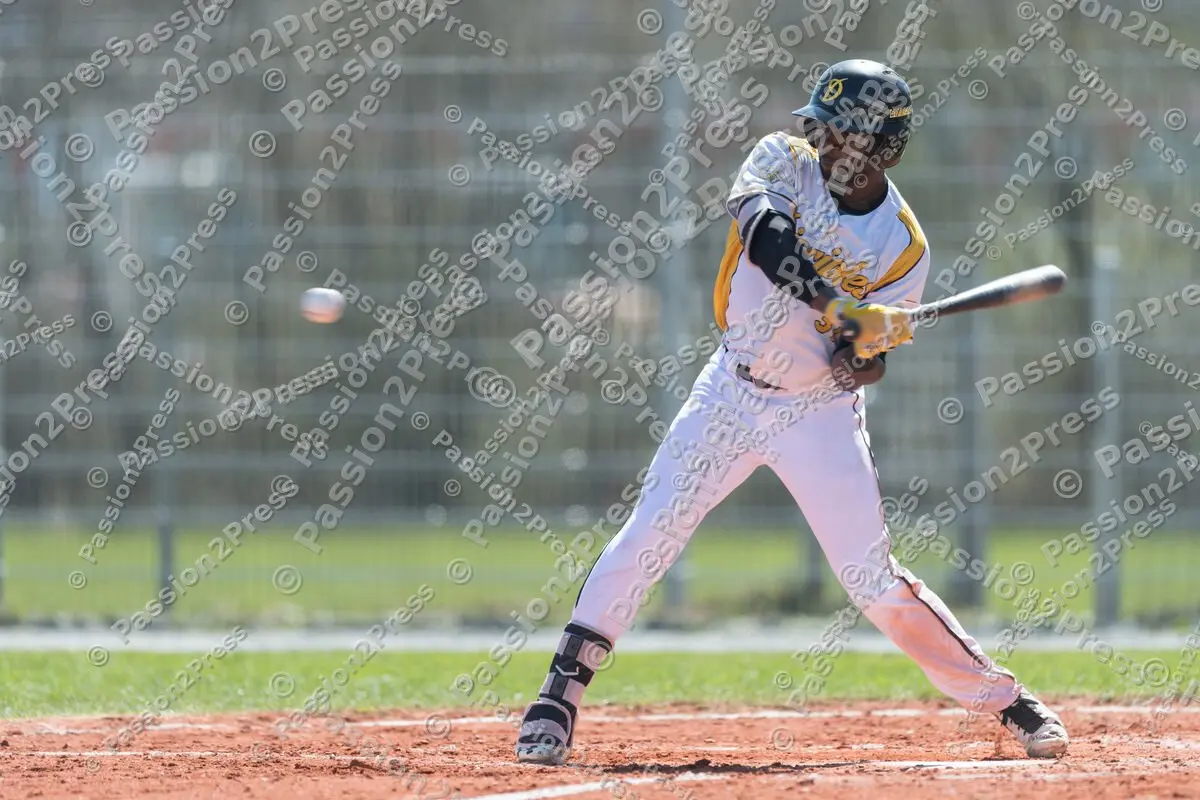 mf_HDSH_20180407_0414