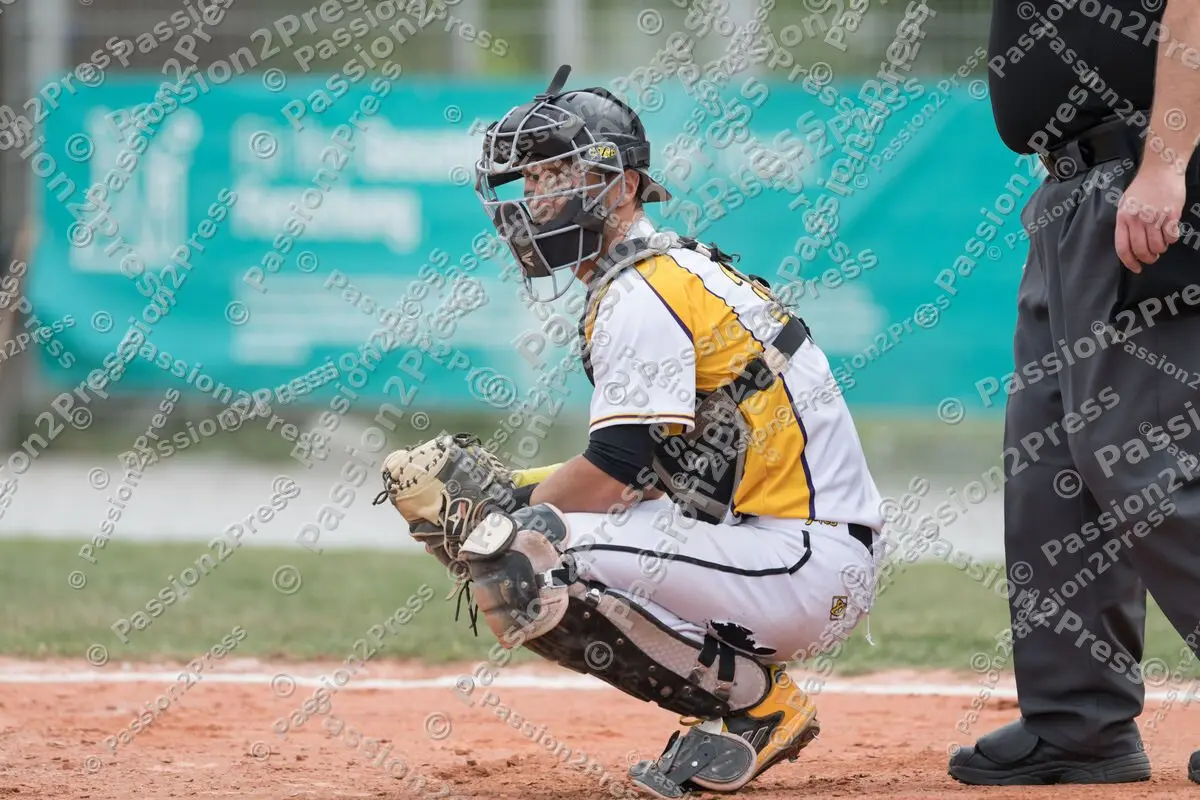 mf_HDBR_20180501_0282