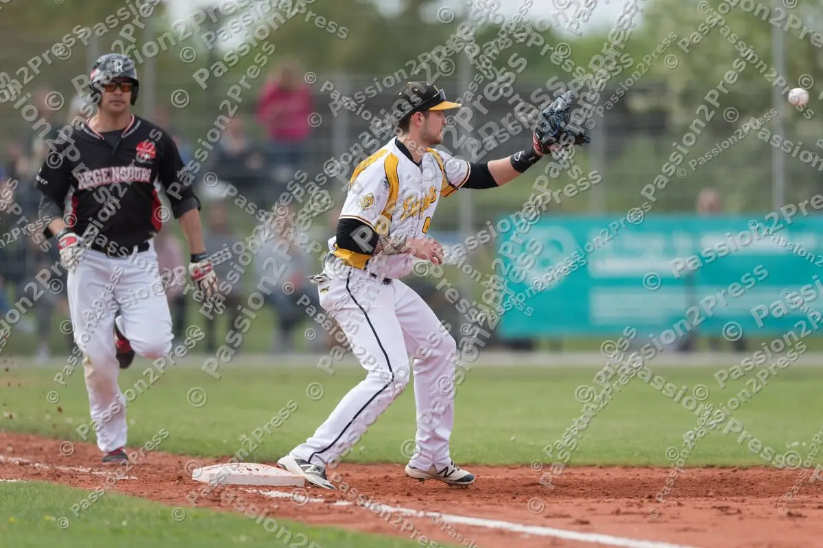 mf_HDBR_20180501_0557