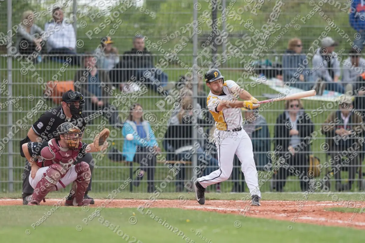 mf_HDBR_20180501_0698